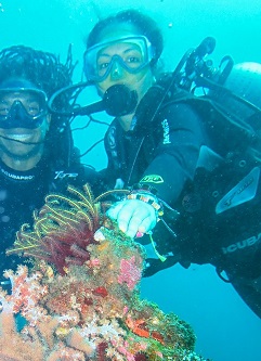 Diving April 2012 - 